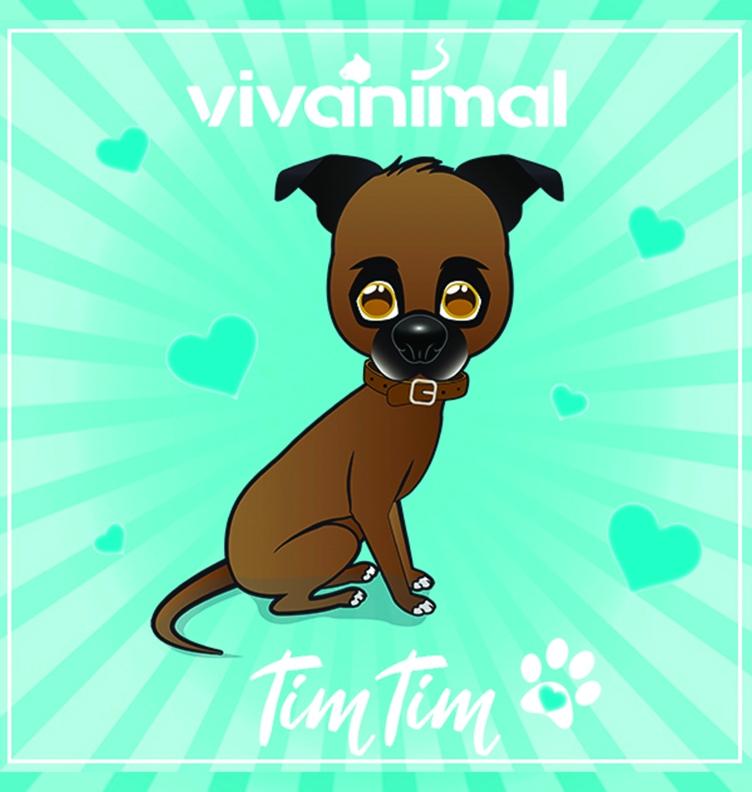 Tim Tim
